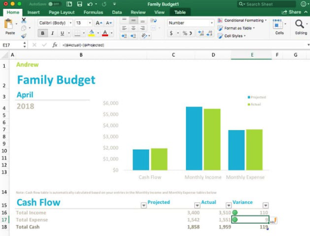 Family budget spreadsheet with charts